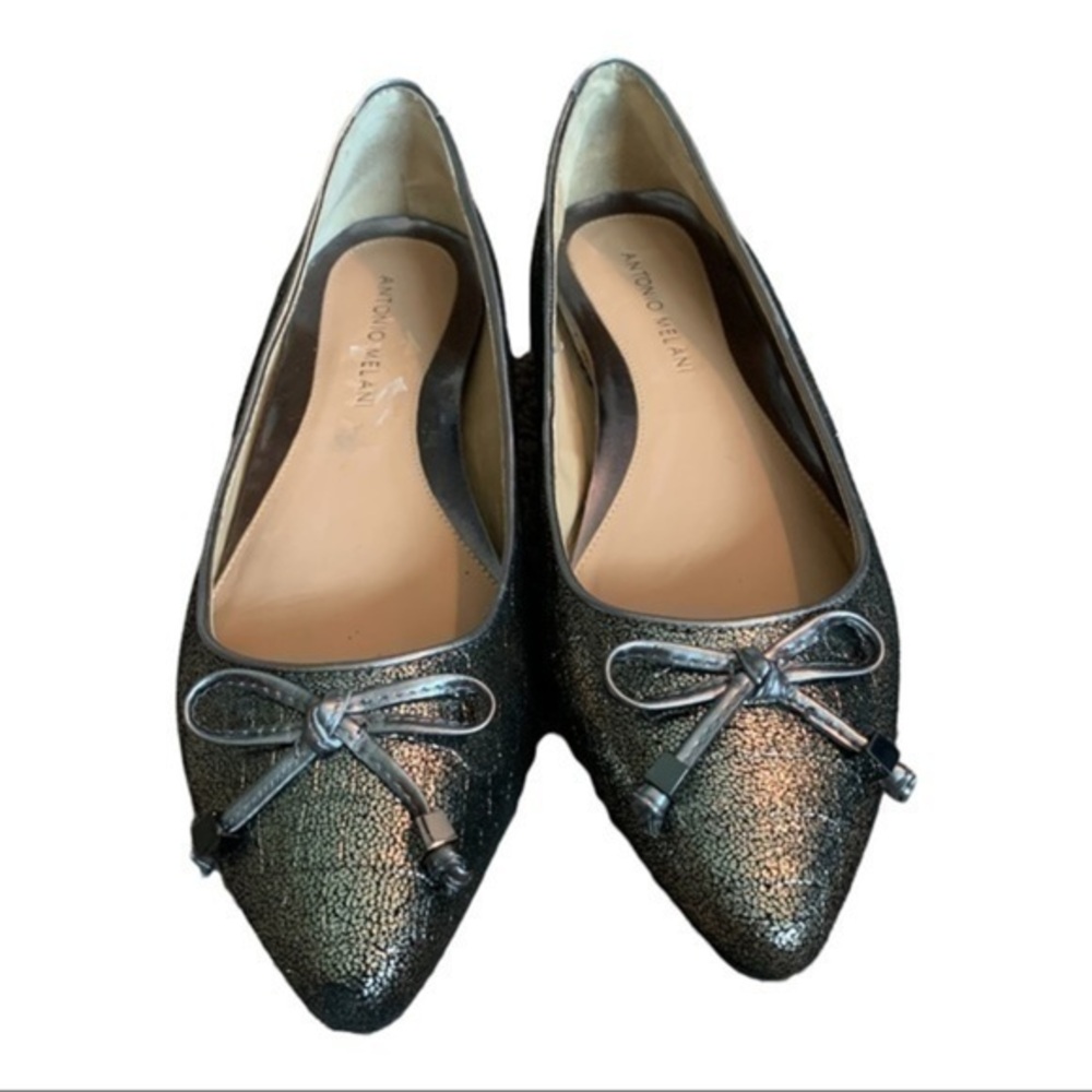 🔴ANTONIO Melani Silver Metallic Flats size 8 EUC